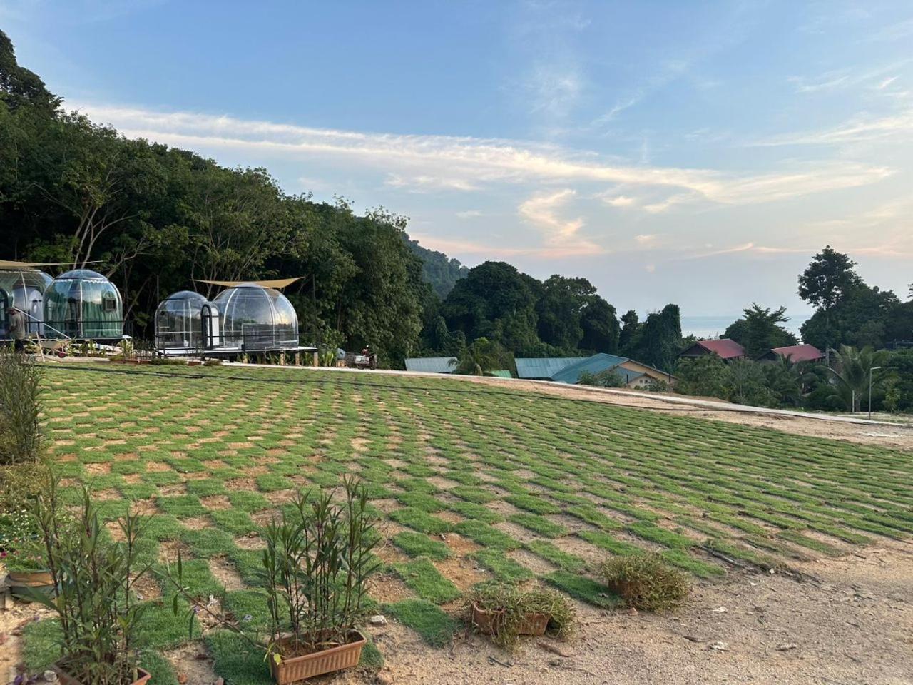 Dnamie Glamping - Lux Tent Pulau Perhentian Kecil Eksteriør bilde